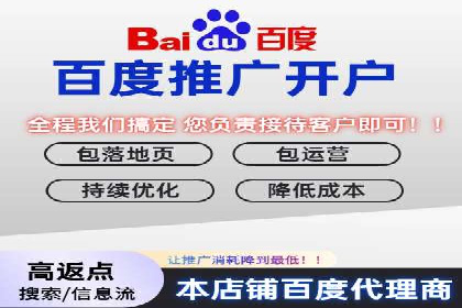百度推广全攻略：成功案例剖析